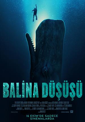 Balina Düşüşü afişi