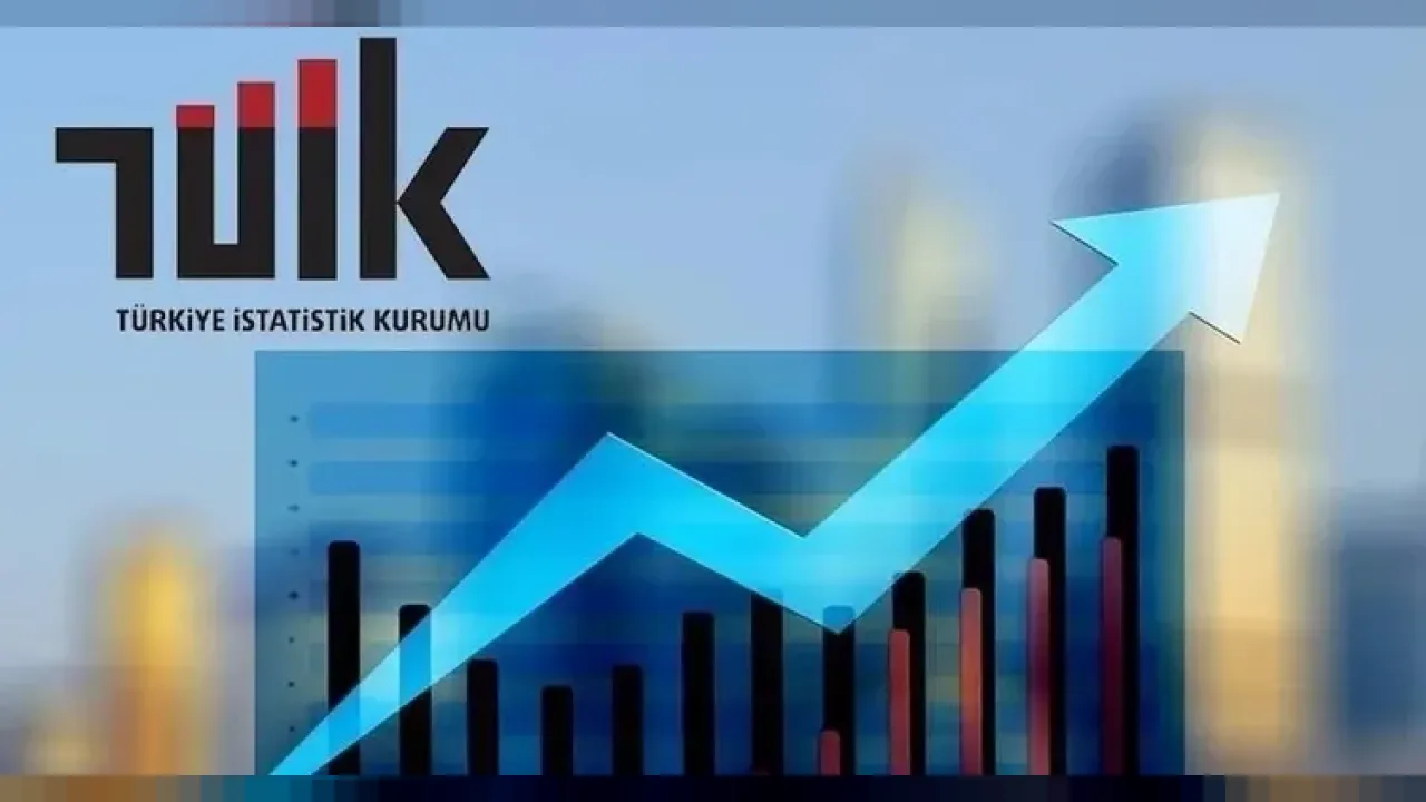Lisans mezunlarında kayıtlı istihdam oranı yüzde 73,9 - Ekonomi Haberleri