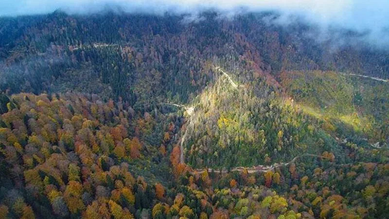 Ankara'da Ormanlara Giriş Yasağı 15 Ekim'e Kadar Uzatıldı