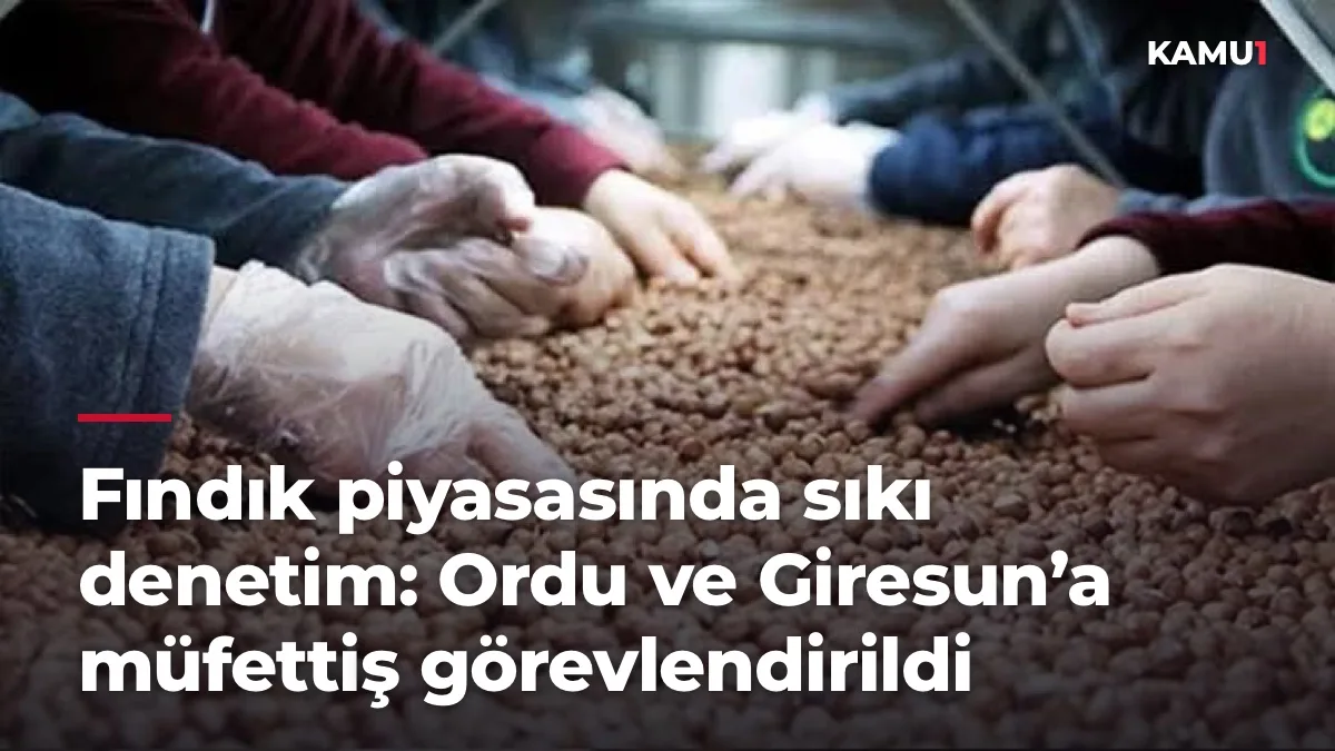 Fındık piyasasında sıkı denetim: Ordu ve Giresun’a müfettiş görevlendirildi