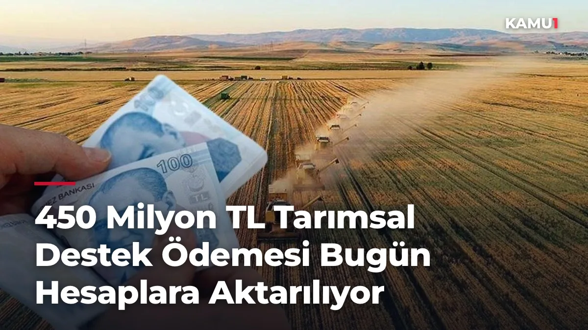 Tarımsal Destek Ödemeleri Hesaplara Aktarılıyor - Ekonomi Haberleri