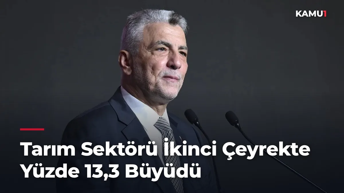 Tarım Sektörü İkinci Çeyrekte Yüzde 13,3 Büyüdü