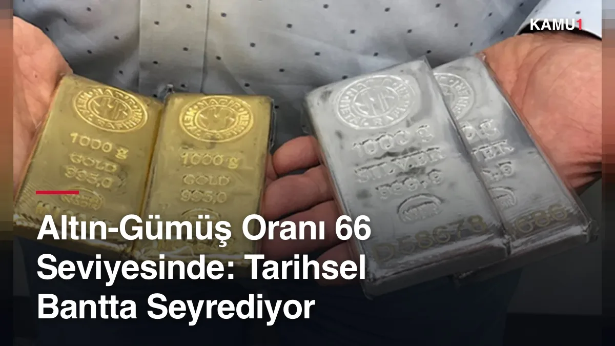 Altın ve gümüş fiyatlarını gösteren grafik üzerinde 66 seviyesindeki oran