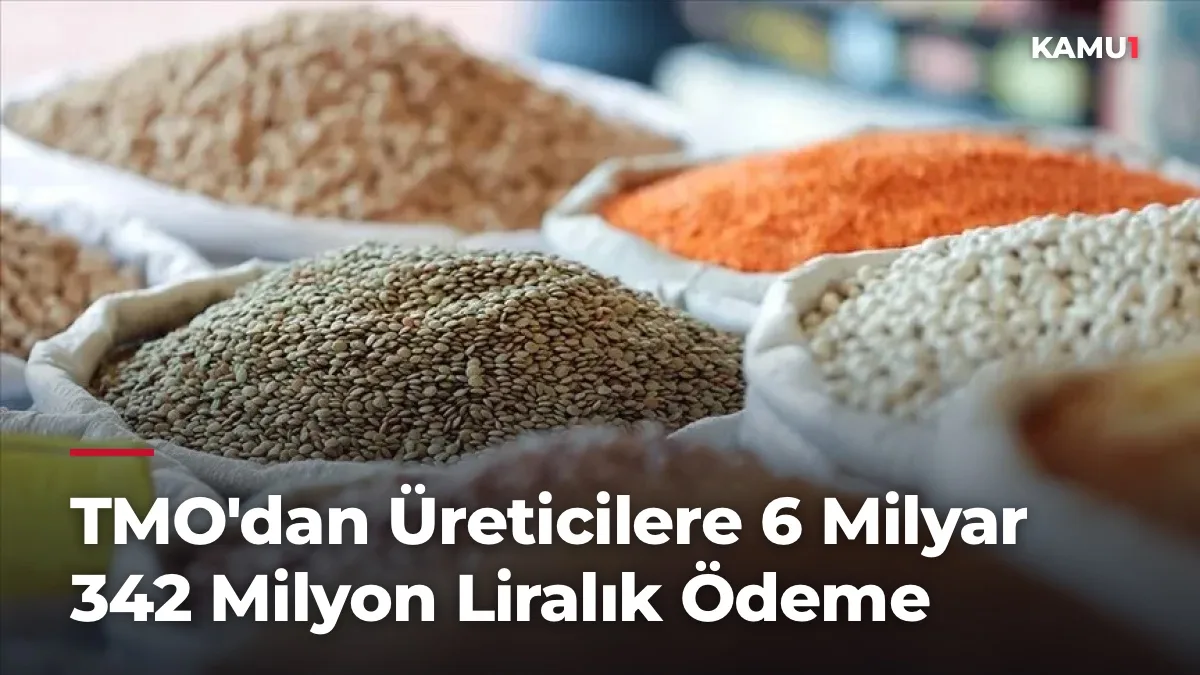 TMO'dan Üreticilere 6 Milyar 342 Milyon Liralık Ödeme