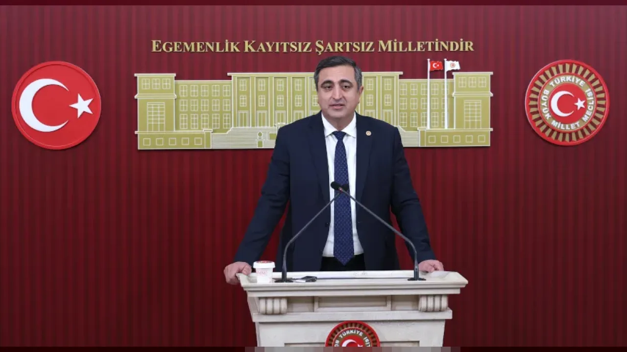 Serkan Ramanlı, TBMM'de