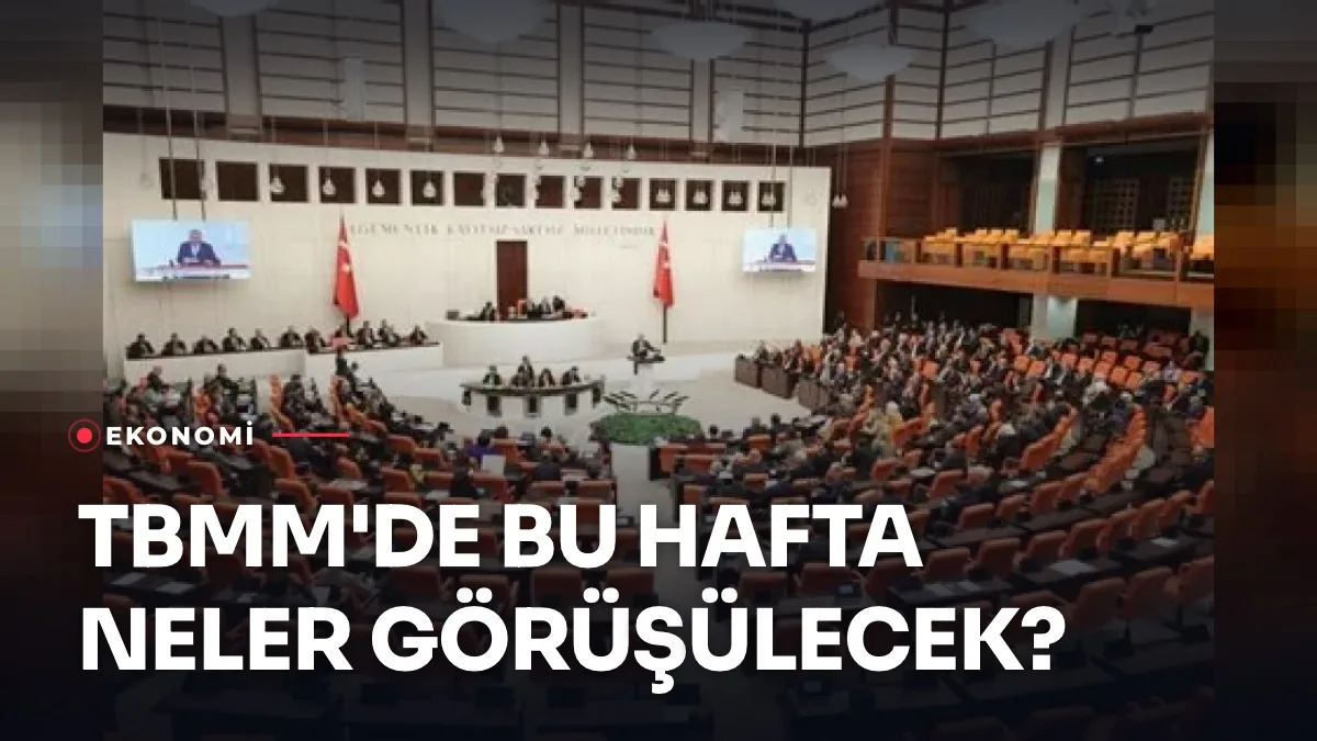 TBMM Genel Kurulu ve Meclis çalışmaları