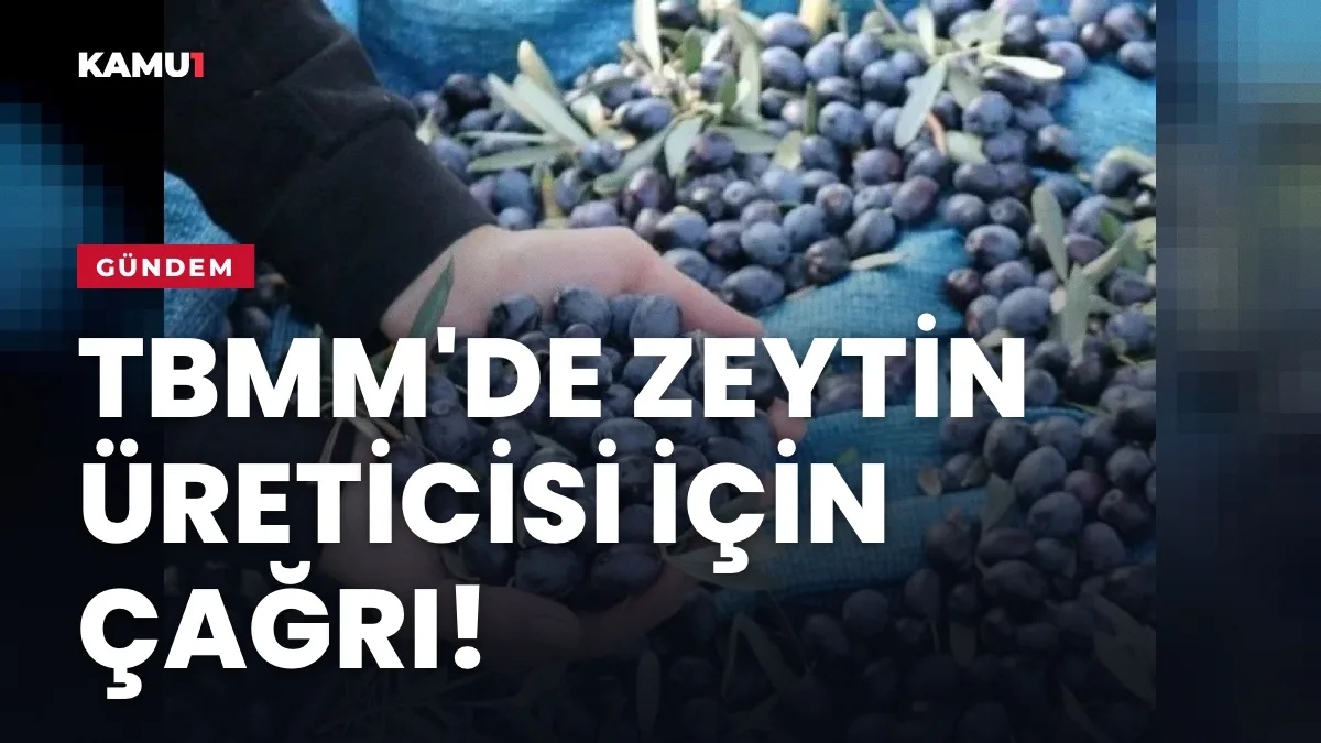 TBMM Genel Kurulu: CHP'li Güzelmansur, zeytin üreticisi için fiyat ve destek politikası istedi