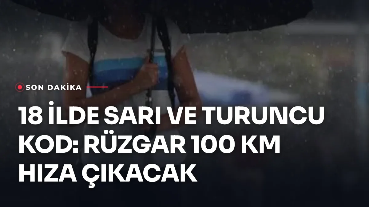 Fırtınalı havada dalgalı Karadeniz kıyısı ve yağmurlu gökyüzü