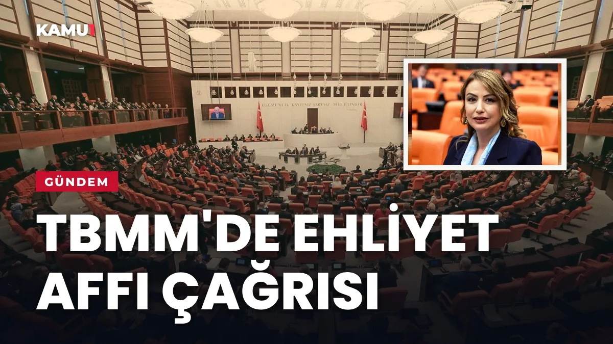 TBMM Genel Kurulu: CHP'li Yıldırım Kara, ehliyeti geri alınan sürücüler için düzenleme istedi