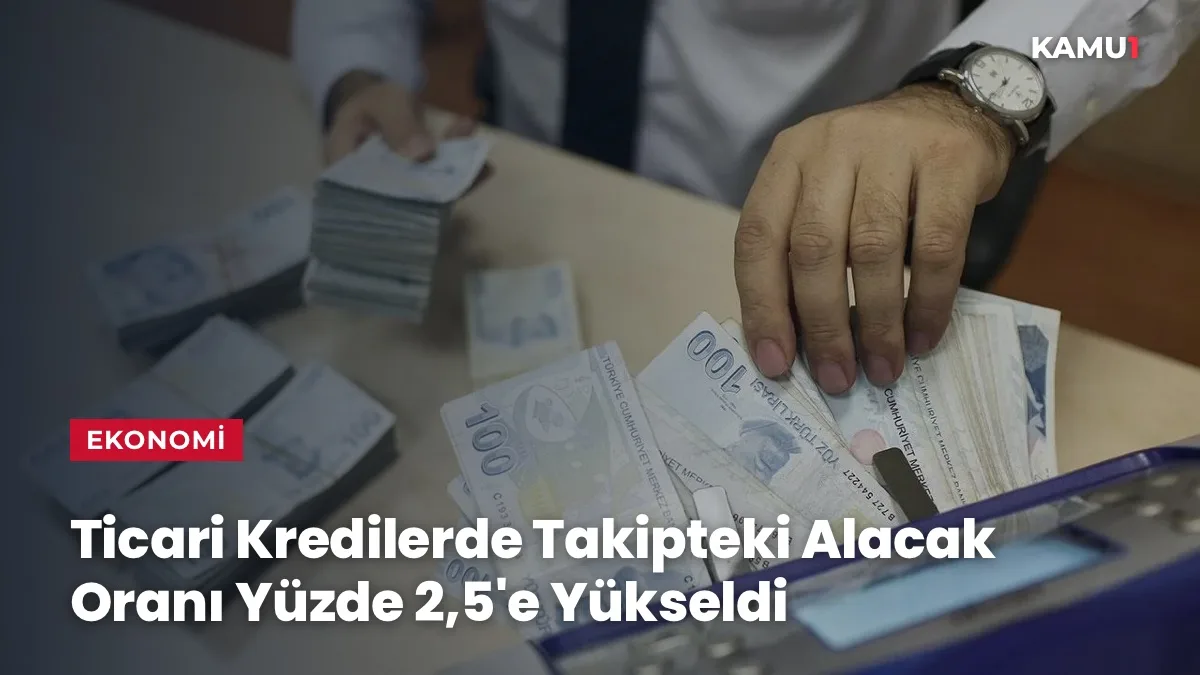 BDDK verilerine göre ticari kredilerde takipteki alacak oranı yüzde 2,5'e yükseldi
