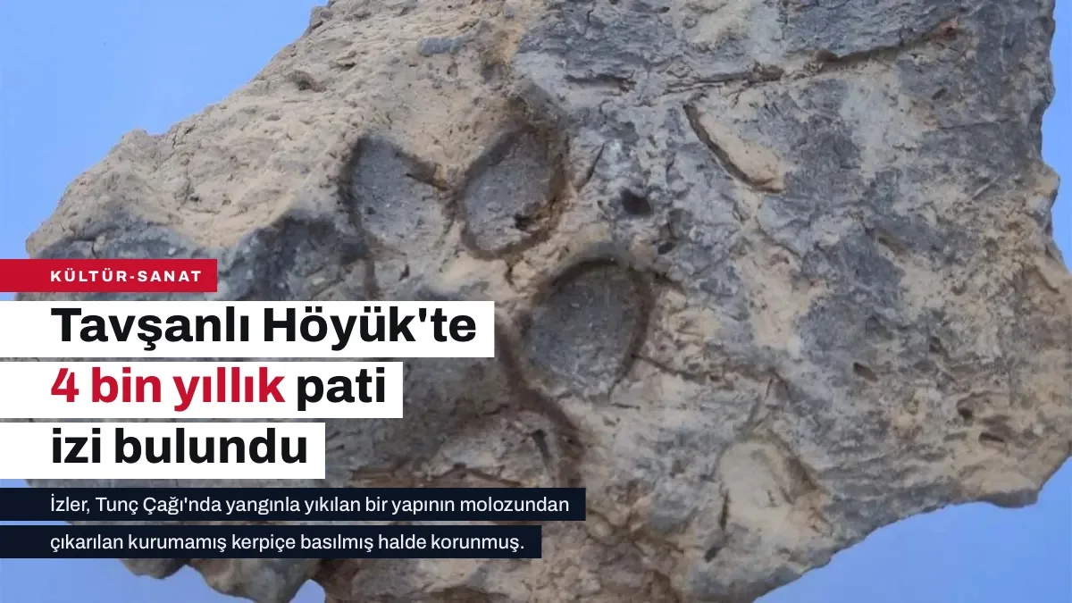 Tavşanlı Höyük'te 4 bin yıllık pati izleri bulundu