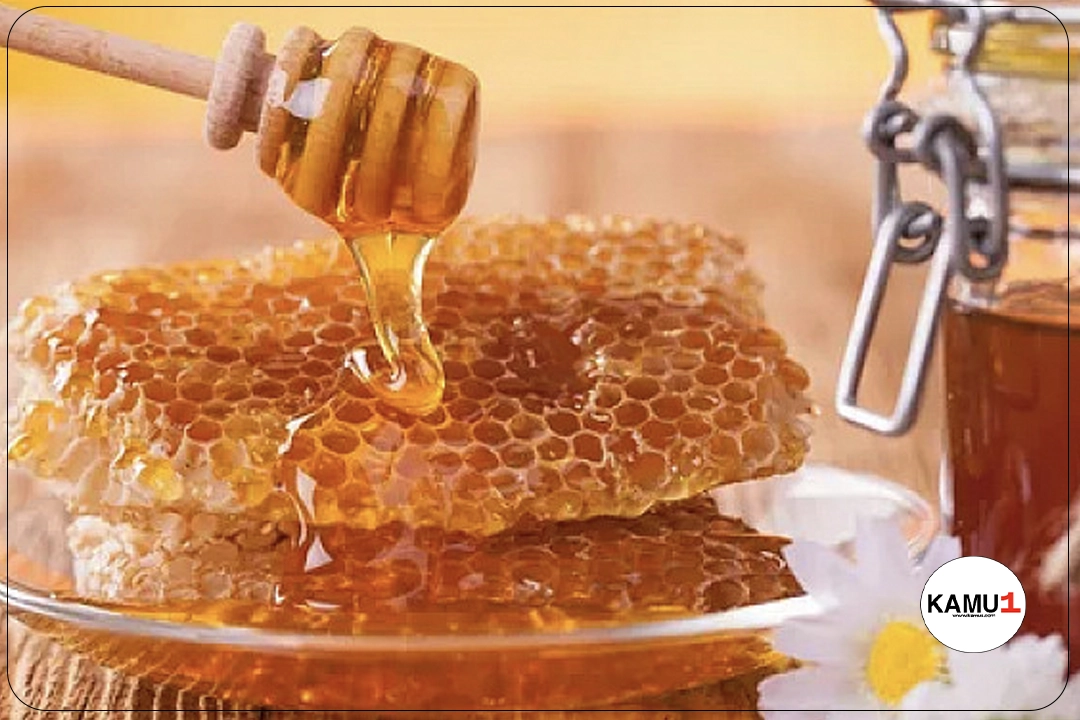 Bal İhracatı 7 Ayda 19 Milyon Doları Aştı.Türkiye, ocak-temmuz döneminde gerçekleştirdiği bal ihracatı ile dikkat çekiyor. Bu süre zarfında toplam ihracat tutarı 19 milyon 13 bin 292 dolar olarak kaydedildi. Üstelik, en fazla ihracat yapılan ülkeler sıralamasında ABD, Almanya ve İsrail öne çıkıyor.