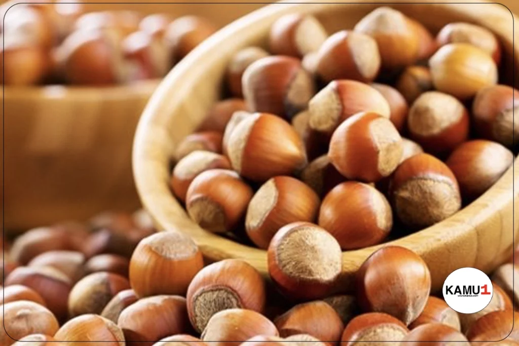 Cumhurbaşkanı Recep Tayyip Erdoğan, Fındık Alım Fiyatlarını Açıkladı.Cumhurbaşkanı Recep Tayyip Erdoğan, Kabine Toplantısı'nın ardından yaptığı açıklamada, bu yılın fındık alım fiyatlarını duyurdu. Yaklaşık 16 ilde gerçekleşen hasadın ardından, 500 bin çiftçinin geçim kaynağı olan fındık için belirlenen yeni fiyatlar dikkat çekiyor.