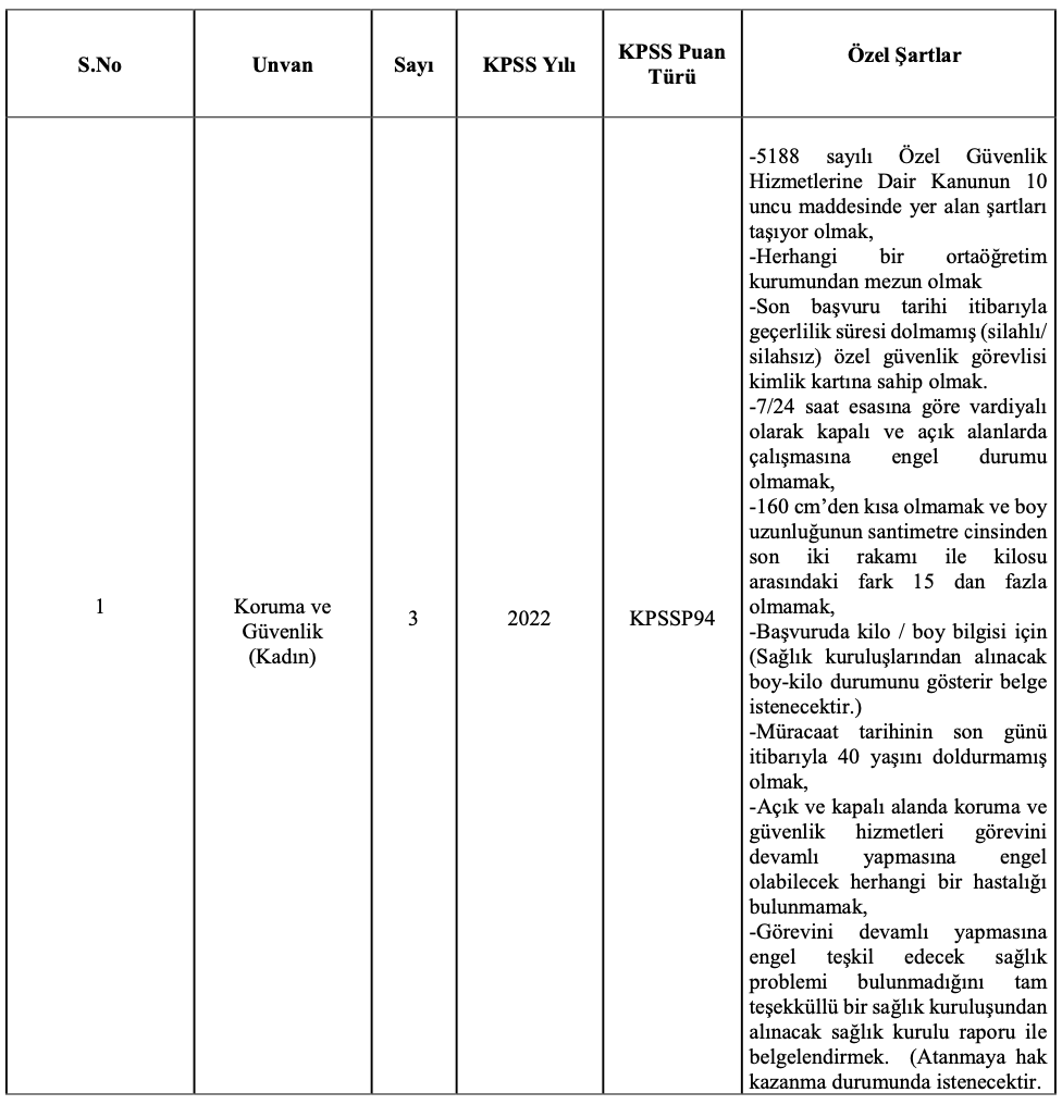Türk-Alman Üniversitesi güvenlik