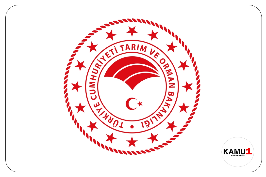 Tarım Bakanlığı 1500 İşçi Alımı Hakkında Duyuru Geldi. Tarım ve Orman Bakanlığı sayfasından yayımlanan duyuruda, "4857 sayılı İş Kanunu kapsamında işçi olarak Bakanlığımız taşra teşkilatına atanmaya hak kazanan asıl hak sahiplerinin göreve başlama taleplerini içeren başvuruları 07.03.2024-19.03.2024 Tarihleri arasında tamamlanmıştır.İlan edilen tarihler içerisinde evrak teslimini yapmayan asıl hak sahiplerinin yerine sırasıyla yedek hak sahiplerinden evrak teslim işlemi yapılacaktır." ifadeleri yer aldı.