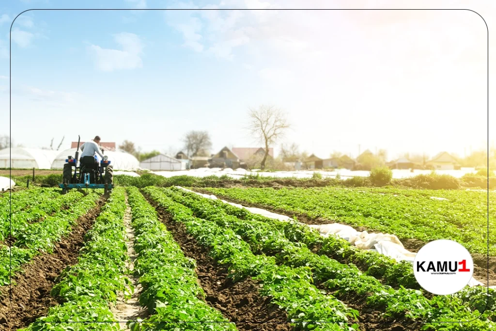 Tarım ÜFE Mart Ayında Yükseldi: Yıllık Artış %61,87.Türkiye İstatistik Kurumu'nun yayımladığı verilere göre, Mart ayında Tarım Ürünleri Üretici Fiyat Endeksi (ÜFE) önemli bir artış kaydetti. Aylık bazda %5,57'lik bir yükseliş görüldü. Özellikle dikkat çeken nokta, geçen yılın aynı dönemine göre yaşanan %61,87'lik olağanüstü artış oldu.