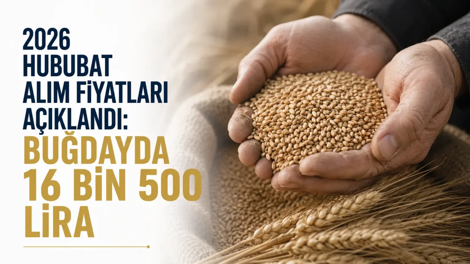 TMO’nun 2026 hububat alım fiyatlarıyla ilgili duyurusu