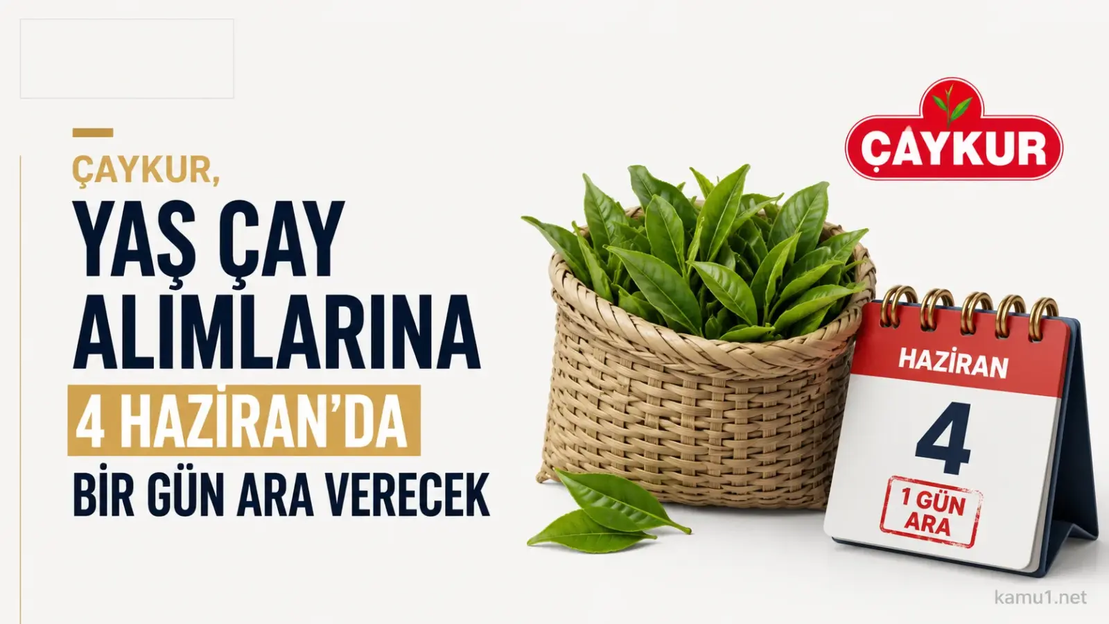 ÇAYKUR yaş çay alımlarına 4 Haziran Perşembe günü bir gün ara verecek
