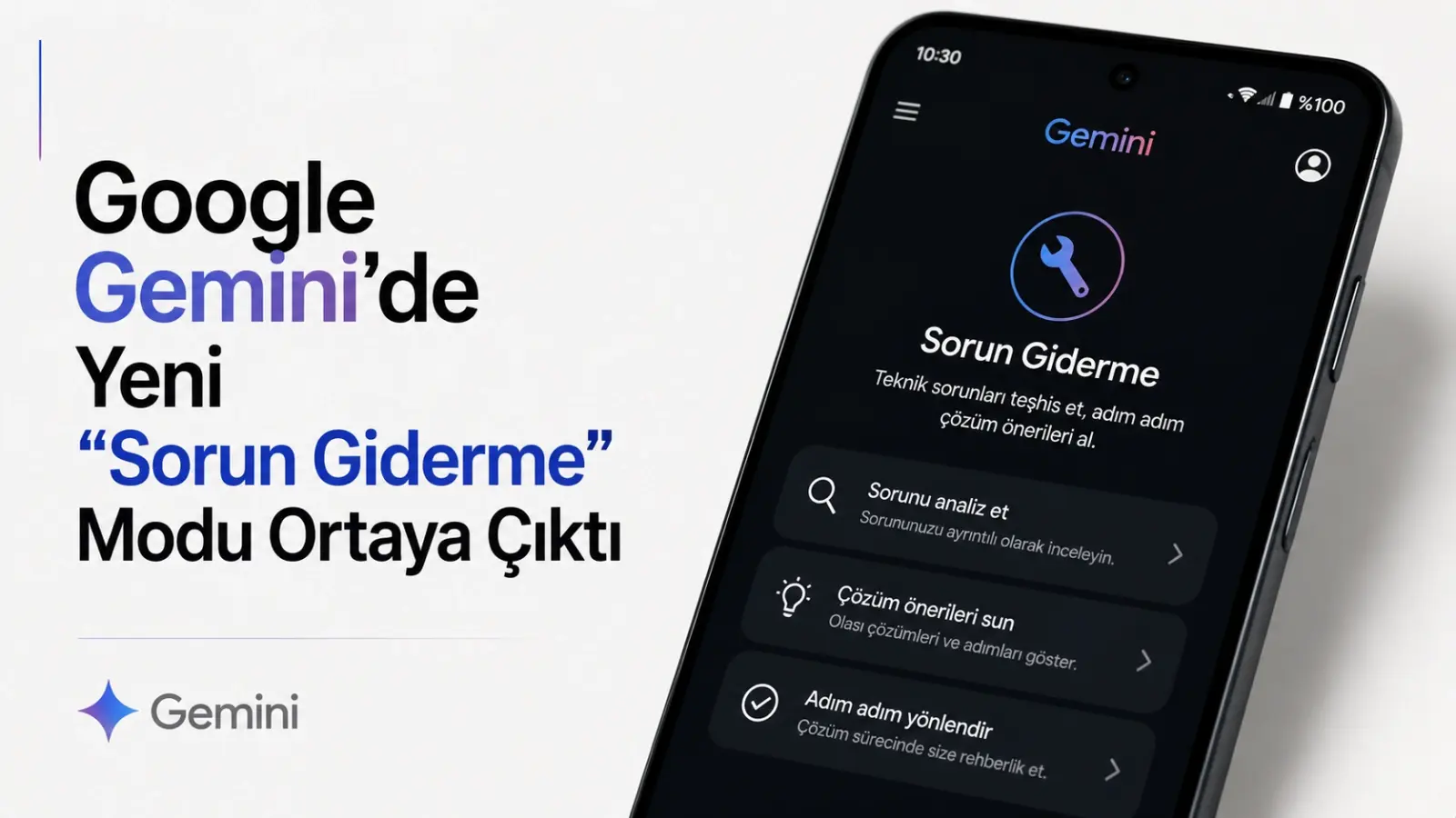 Google Gemini uygulamasında gündeme gelen Sorun Giderme modu ekranı