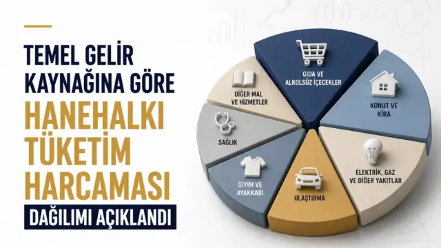 Hanehalkı tüketim harcamasının gelir kaynağına göre dağılımını gösteren ekonomik veri görünümü