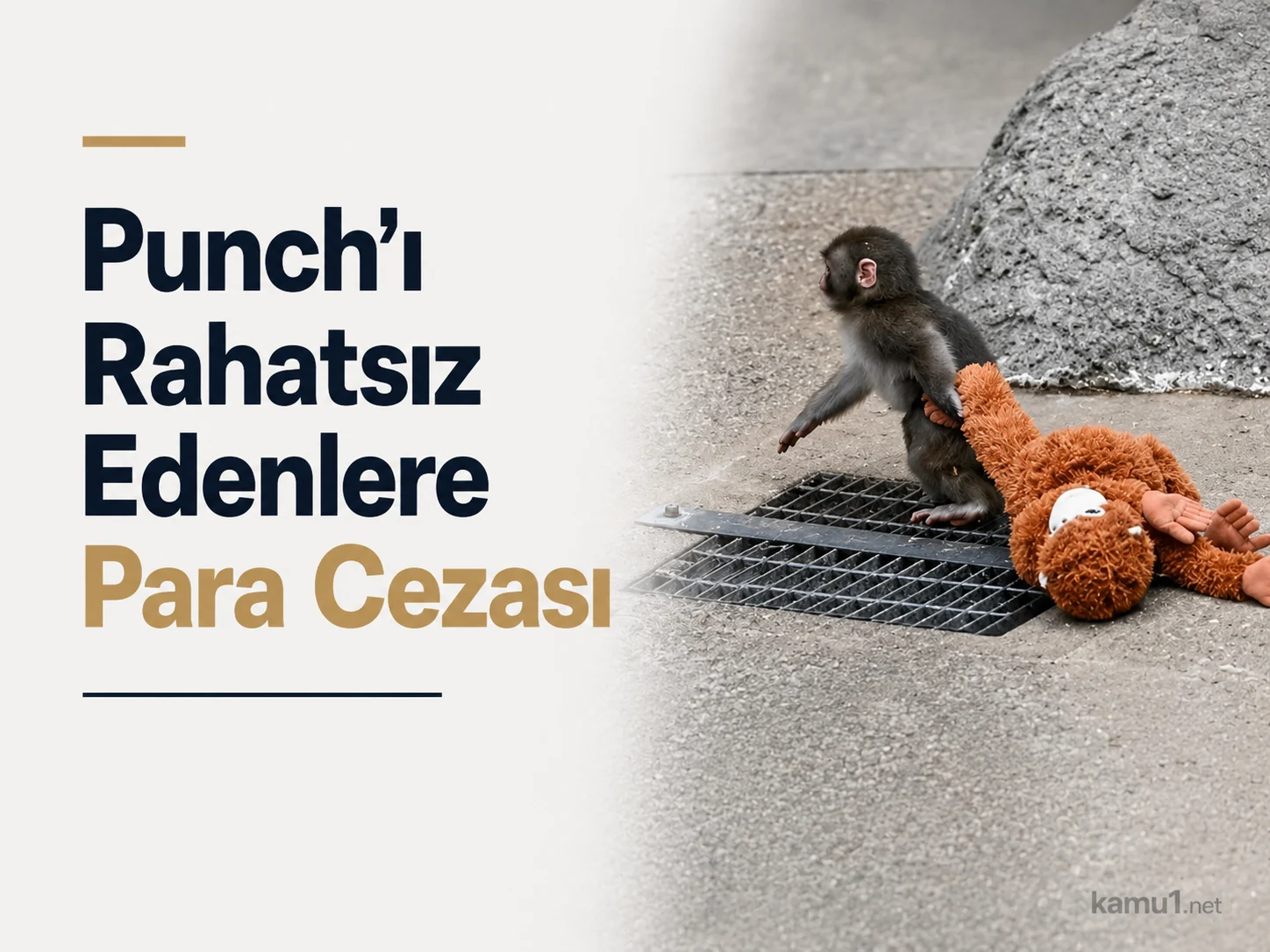 Japonya’daki İçikawa Hayvanat Bahçesi’nde yaşayan makak maymunu Punch